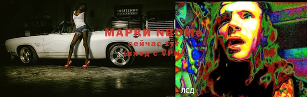 прущие грибы Иннополис