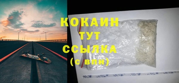 прущие грибы Иннополис