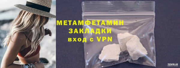 прущие грибы Иннополис