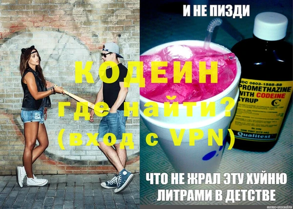 прущие грибы Иннополис