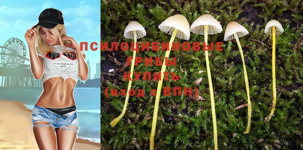 бошки Инта