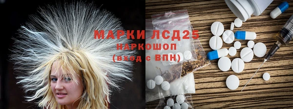 прущие грибы Иннополис