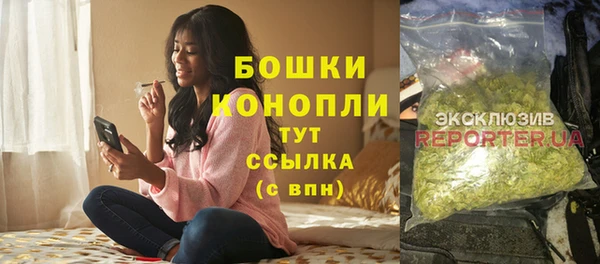 прущие грибы Иннополис