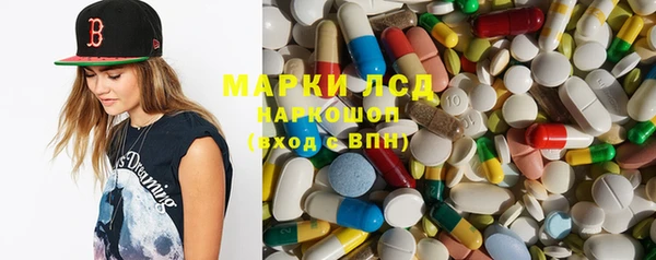 прущие грибы Иннополис