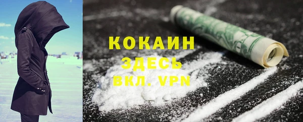 прущие грибы Иннополис