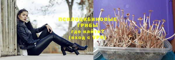 бошки Инта